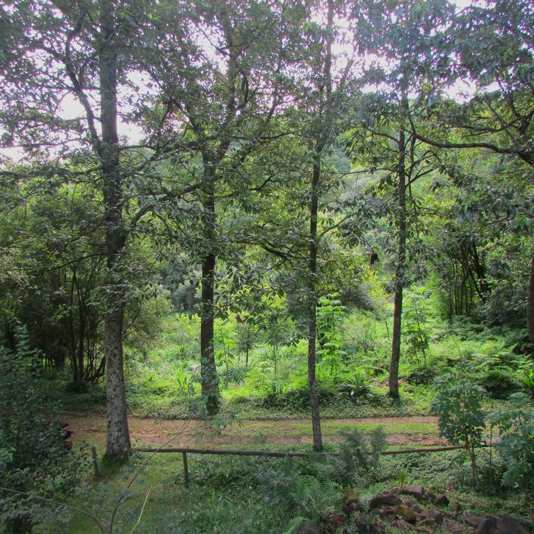 Old Pine Cabin Karkloof Yarrow 外观 照片