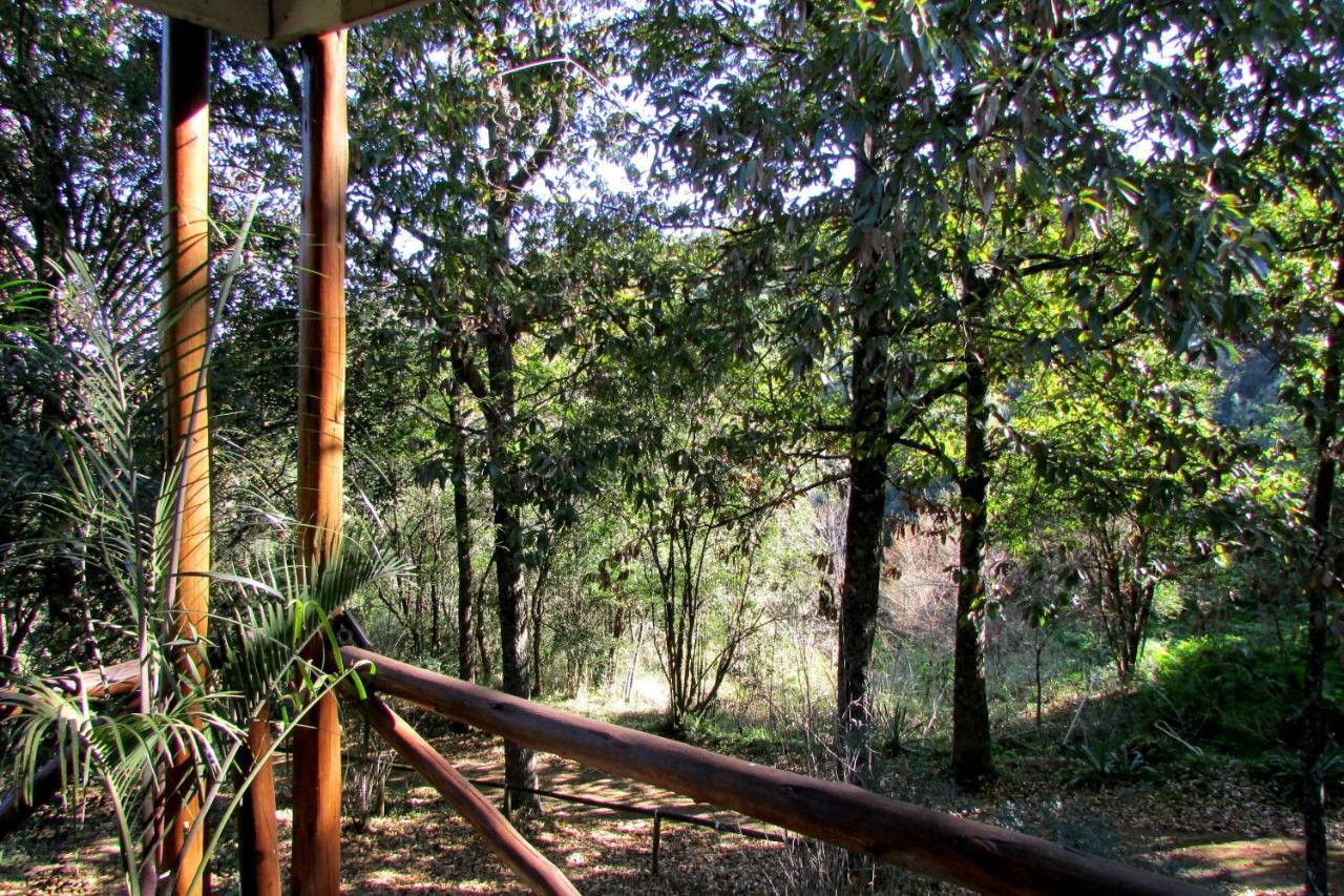 Old Pine Cabin Karkloof Yarrow 外观 照片